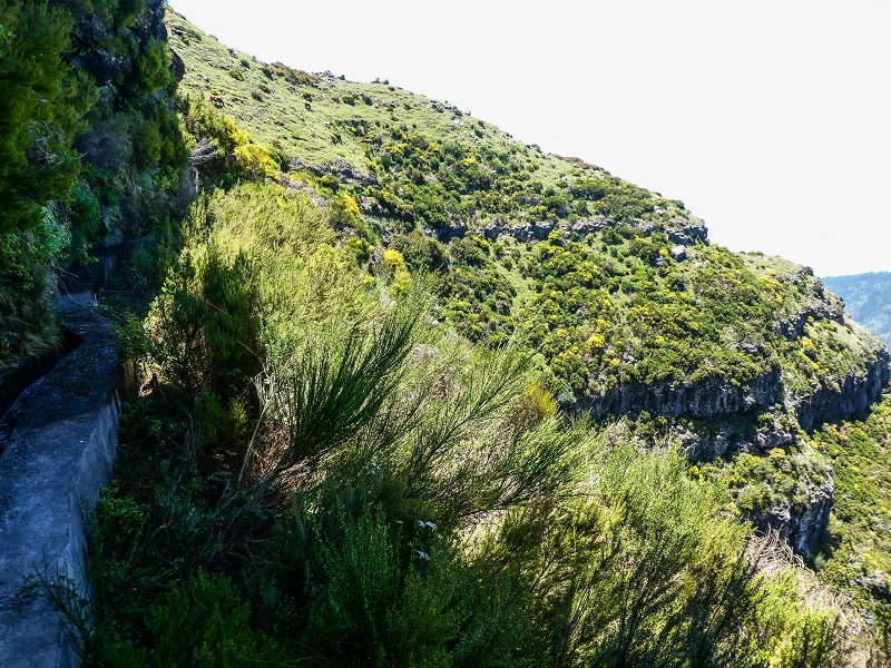 15.05.2019 Endlich mal zum Stonehenge, mit weiteren Levadaerforschungen — Auf der Levada da Serra zur Abbruchstelle und zurück zum Weg — Foto 25
