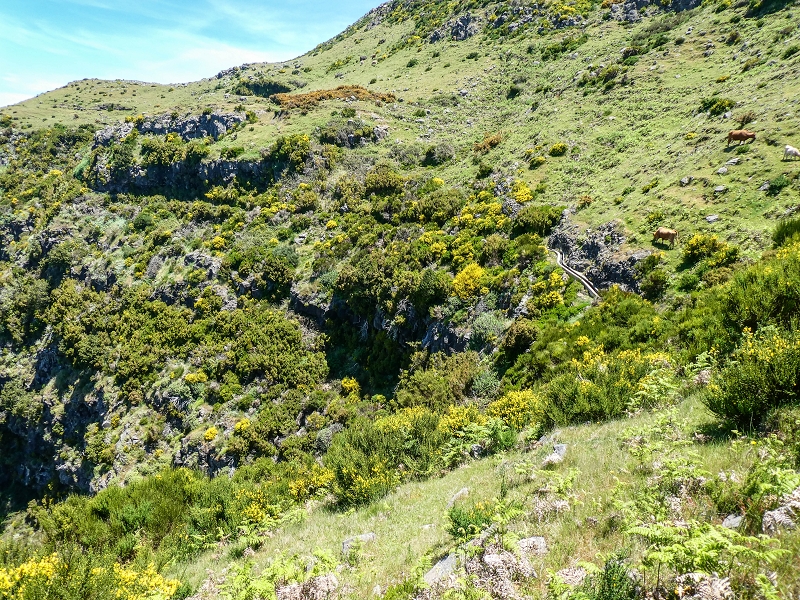 15.05.2019 Endlich mal zum Stonehenge, mit weiteren Levadaerforschungen — Auf der Levada da Serra zur Abbruchstelle und zurück zum Weg — Foto 29