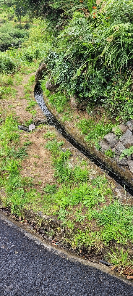 Levada da Achada do Beirão — Weiter auf schmalen Mäuerchen und durch grüne Felder — Foto 1
