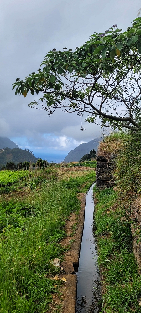 Levada da Achada do Beirão — Weiter auf schmalen Mäuerchen und durch grüne Felder — Foto 10