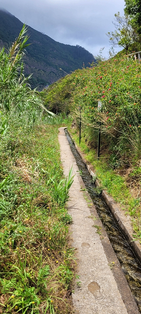 Levada dos Cardais — On towards the Miradouro dos Cardais — photo 3