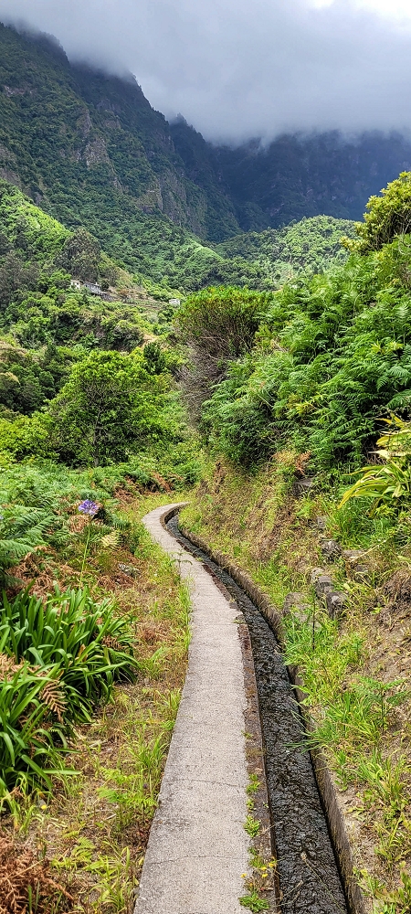 Levada dos Cardais — On towards the Miradouro dos Cardais — photo 4