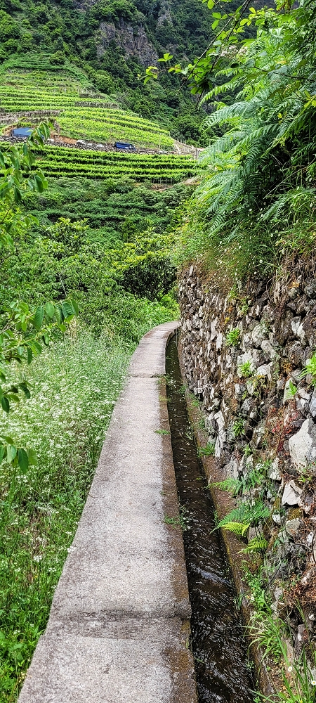 Levada dos Cardais — On towards the Miradouro dos Cardais — photo 5