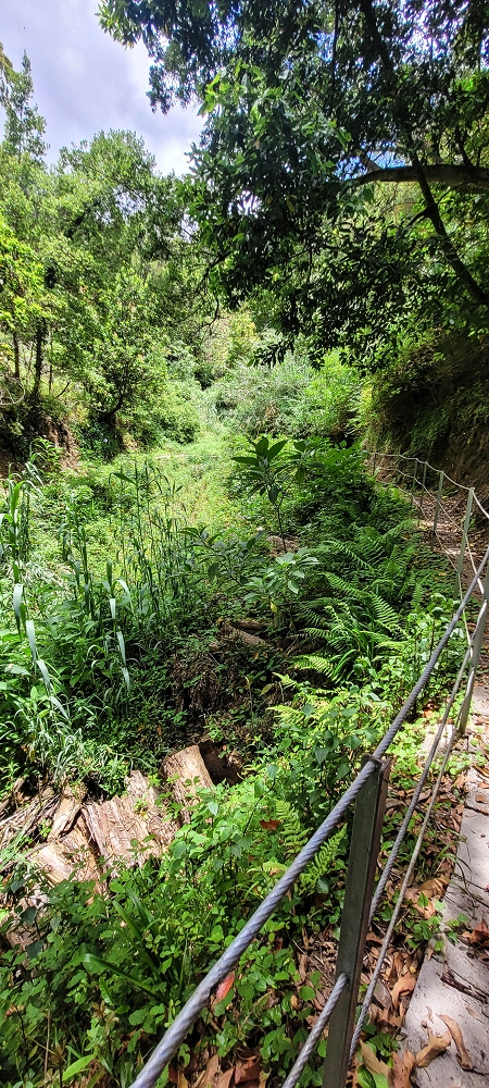 Levada dos Cardais — The stream crossing, partly bypassed — photo 1