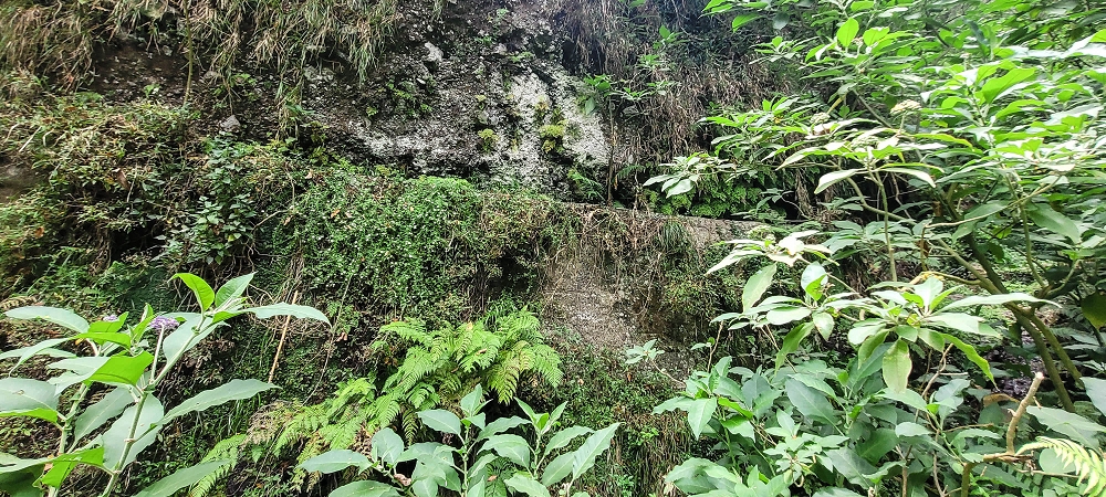 Levada dos Cardais — The stream crossing, partly bypassed — photo 3