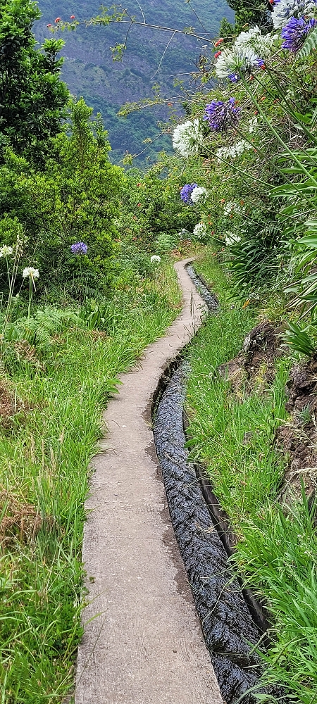 Levada dos Cardais — Towards the end of the levada — photo 2