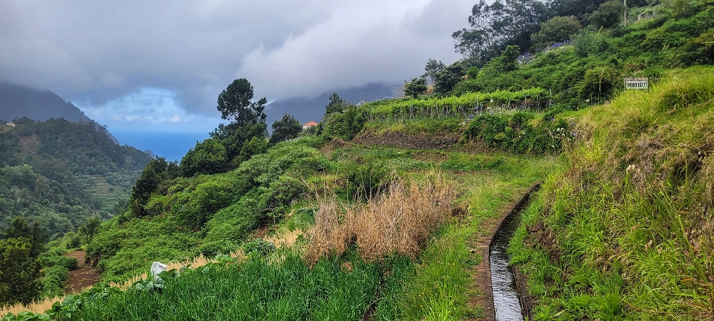 Levada da Achada do Beirão — Weiter auf schmalen Mäuerchen und durch grüne Felder — Foto 11
