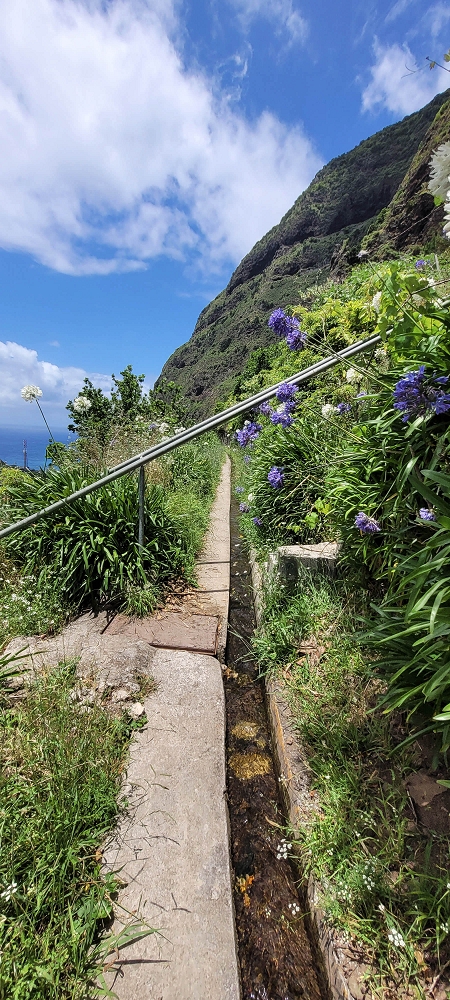 Levada dos Cardais — Towards the end of the levada — photo 4