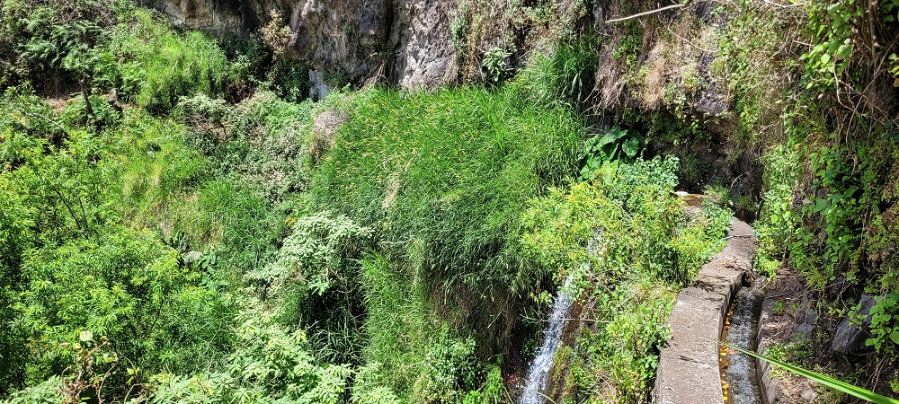 Levada dos Cardais — The steep end at the finish — photo 2