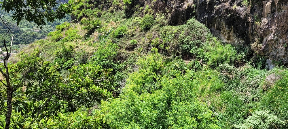 Levada dos Cardais — The steep end at the finish — photo 3