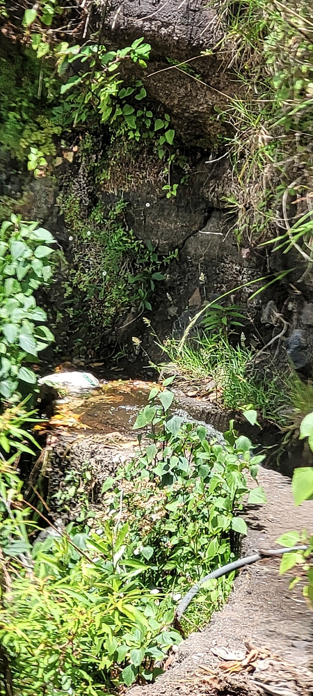 Levada dos Cardais — The steep end at the finish — photo 4