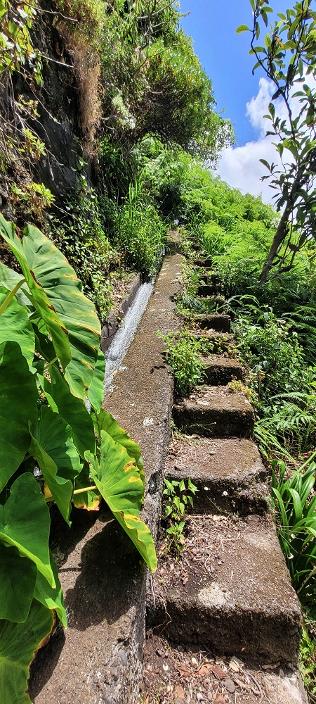 Levada dos Cardais — The steep end at the finish — photo 5