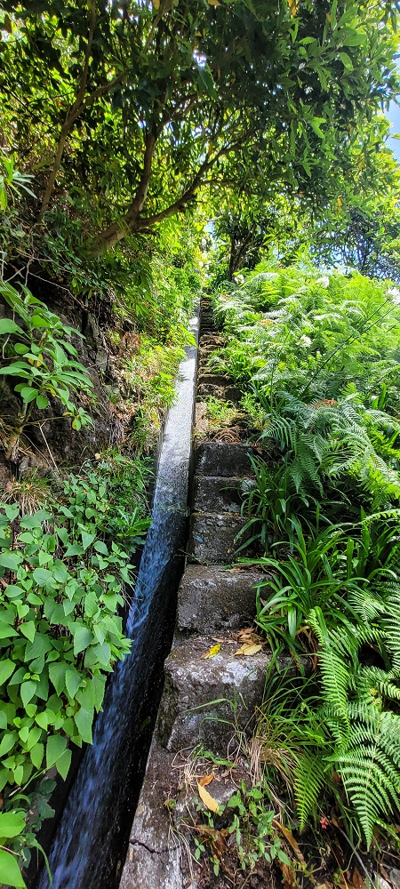 Levada dos Cardais — The steep end at the finish — photo 6