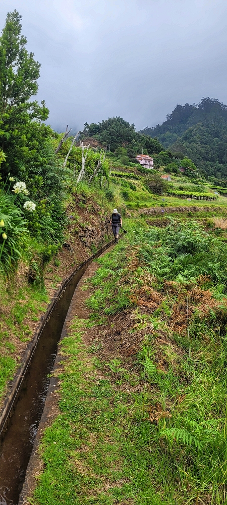 Levada da Achada do Beirão — Weiter auf schmalen Mäuerchen und durch grüne Felder — Foto 12