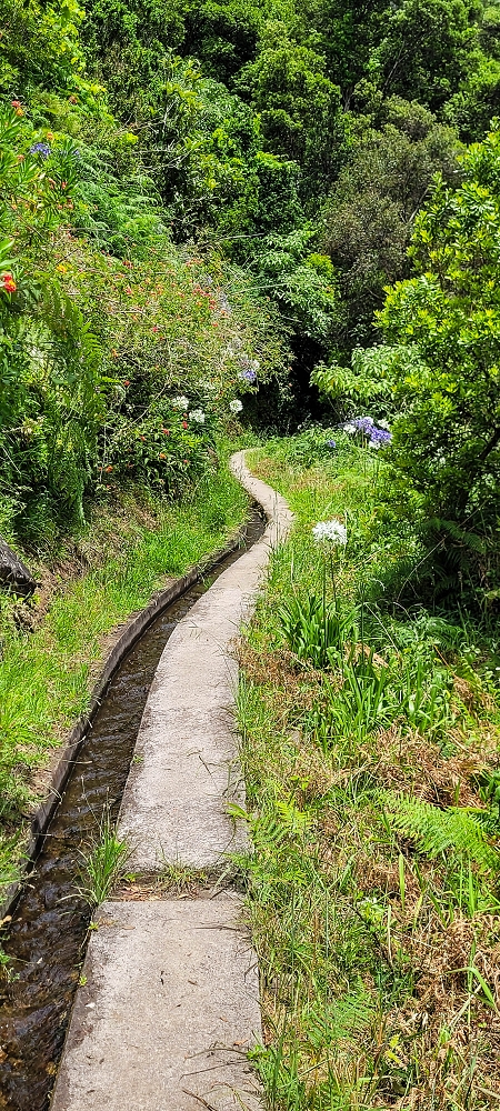 Levada dos Cardais — On towards the Miradouro dos Cardais — photo 8