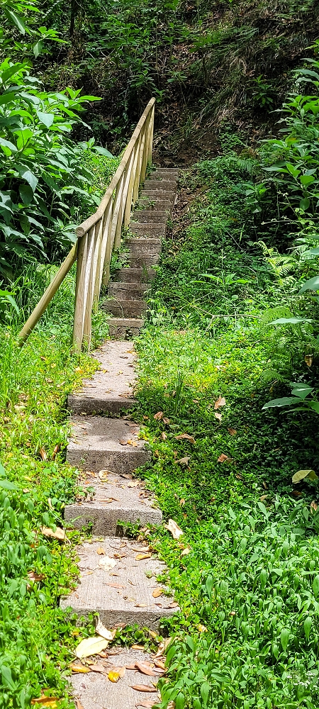 Levada dos Cardais — The stream crossing, partly bypassed — photo 7