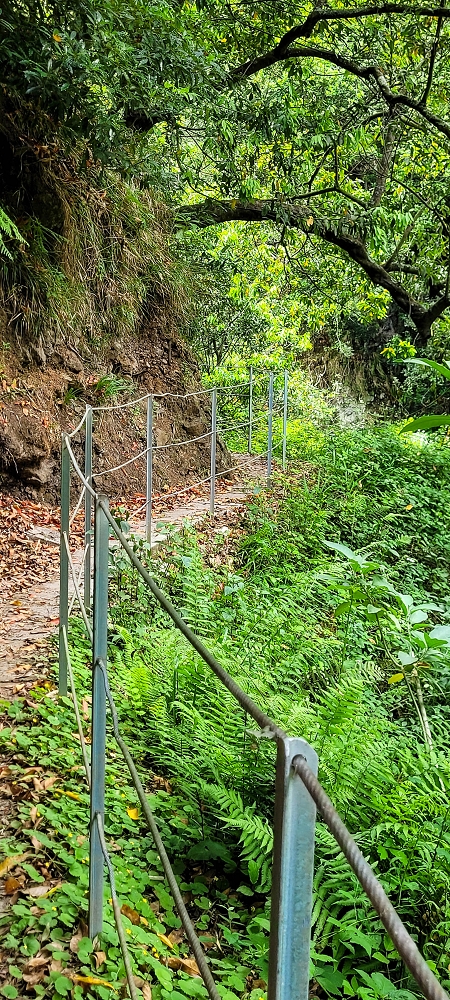 Levada dos Cardais — The stream crossing, partly bypassed — photo 8
