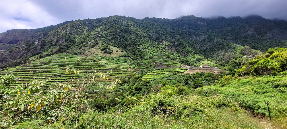 15 May 2022 Big loop in the eastern São Vicente valley — Back on the Levada dos Cardais — photo 8