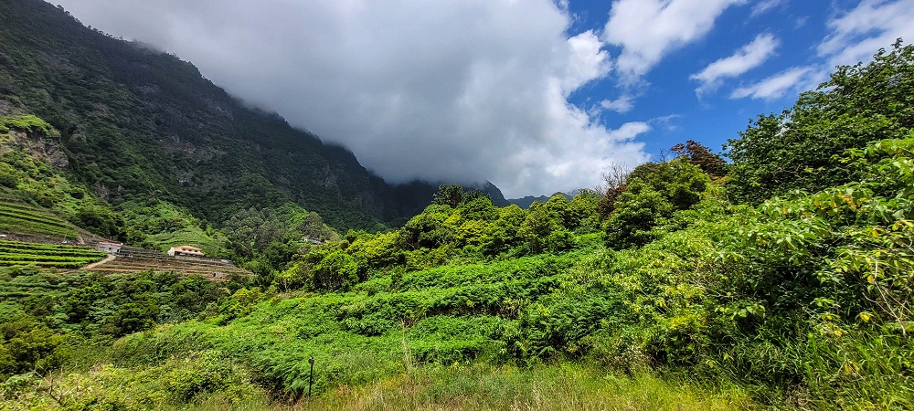 15 May 2022 Big loop in the eastern São Vicente valley — Back on the Levada dos Cardais — photo 9