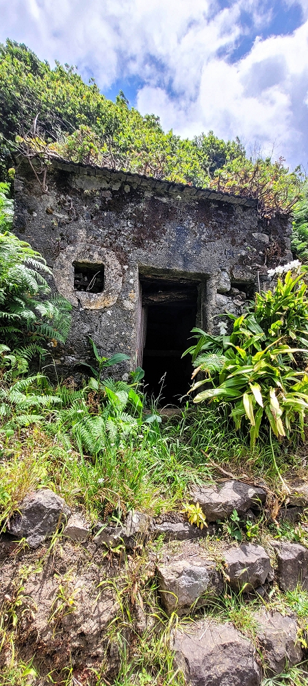 15 May 2022 Big loop in the eastern São Vicente valley — Back on the Levada dos Cardais — photo 10