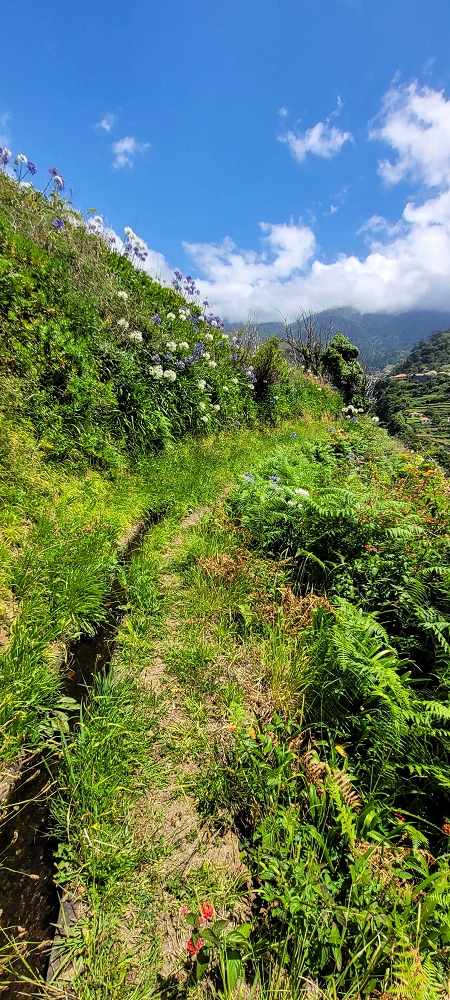 Levada dos Cardais — On towards the access road to the Capela — photo 8