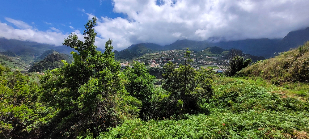 Levada dos Cardais — On towards the access road to the Capela — photo 7