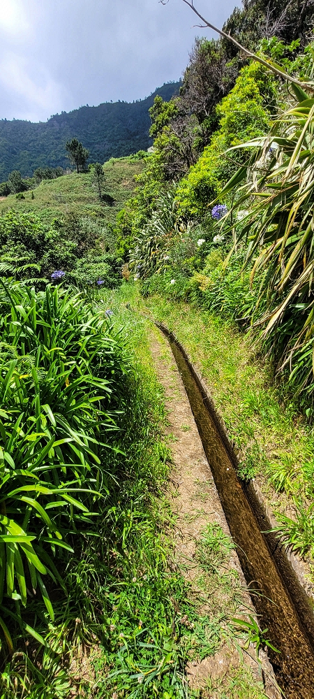 Levada dos Cardais — On towards the access road to the Capela — photo 4