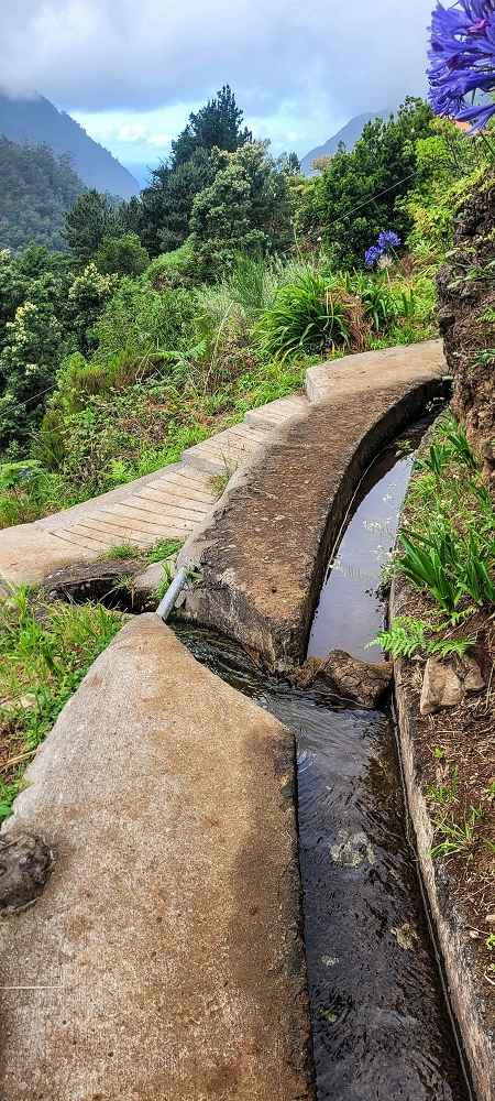 Levada da Achada do Beirão — Weiter auf schmalen Mäuerchen und durch grüne Felder — Foto 14
