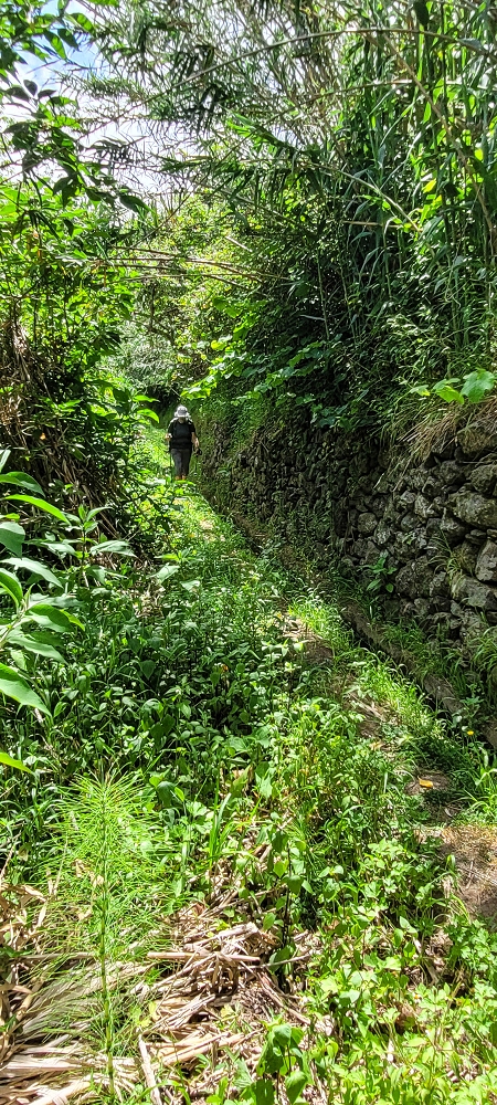 Levada dos Cardais — On towards the access road to the Capela — photo 2