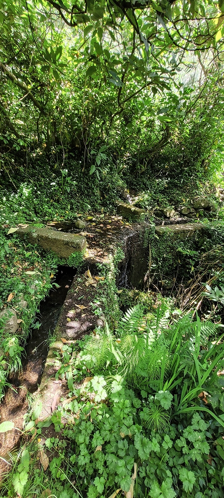 Levada dos Cardais — Madre in the Ribeira do Rato — photo 1