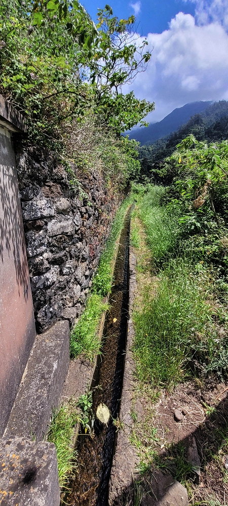 Levada dos Cardais — Madre in the Ribeiro dos Salto — photo 11