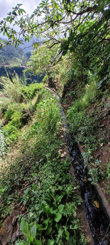 Levada dos Cardais — Madre in the Ribeiro dos Salto — photo 10