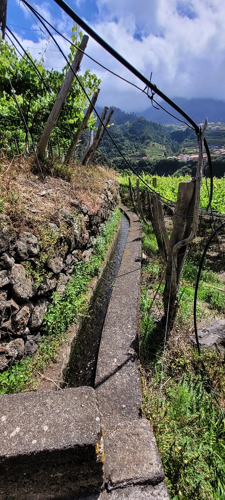 Levada dos Cardais — Madre in the Ribeiro dos Salto — photo 8