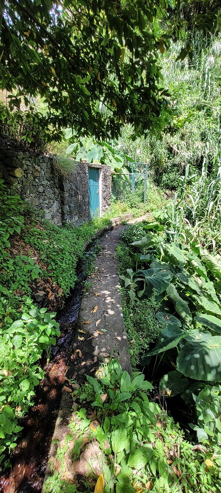 Levada dos Cardais — Madre in the Ribeiro dos Salto — photo 7