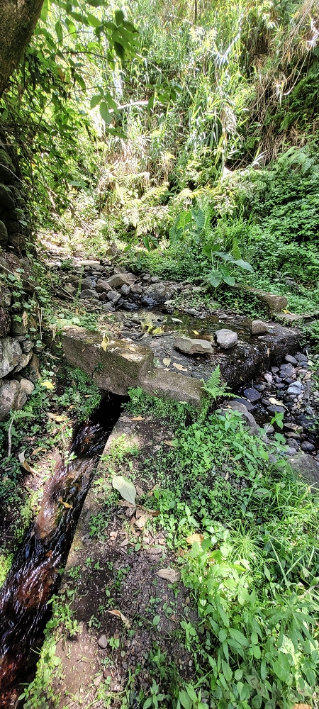 Levada dos Cardais — Madre in the Ribeiro dos Salto — photo 6