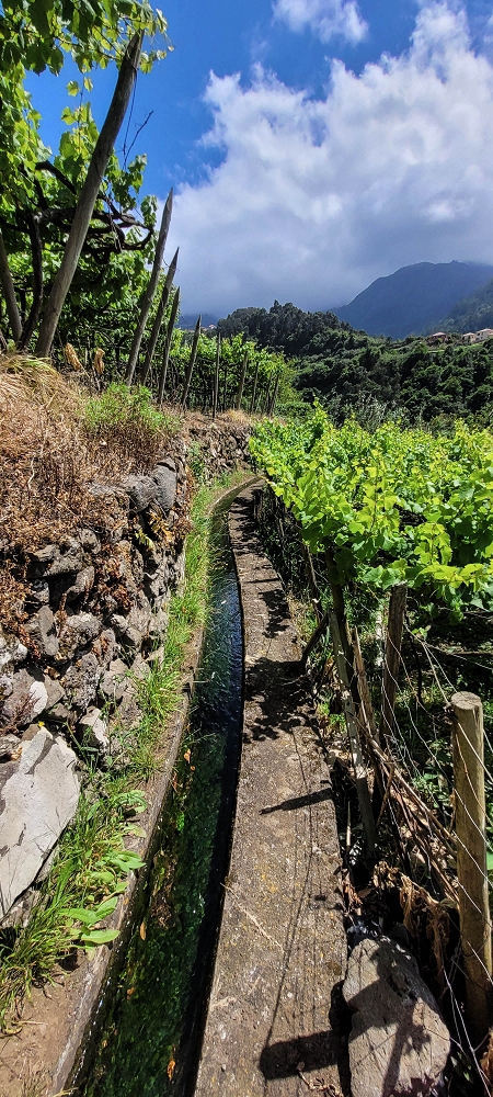 Levada dos Cardais — Madre in the Ribeiro dos Salto — photo 4