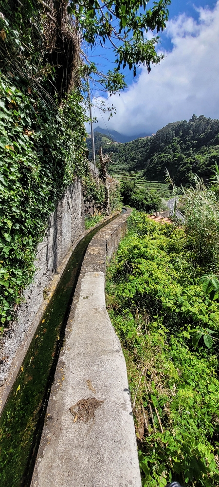 Levada dos Cardais — Madre in the Ribeiro dos Salto — photo 3
