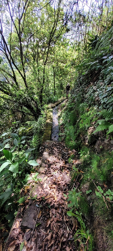 Levada dos Cardais — Madre in the Ribeiro dos Salto — photo 2