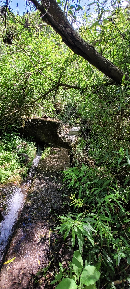 Levada dos Cardais — Madre in the Ribeiro dos Salto — photo 2