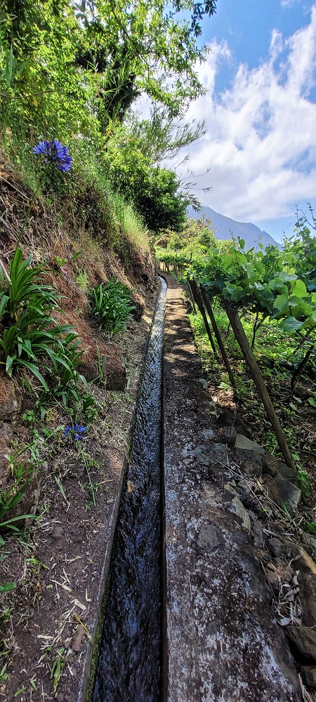Levada dos Cardais — As far as the Ribeiro do Salto — photo 3