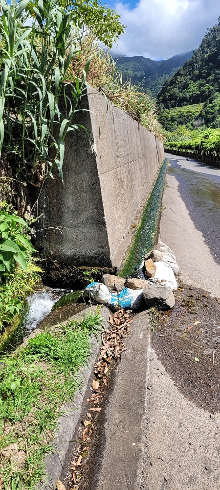 Levada dos Cardais — As far as the Ribeiro do Salto — photo 1
