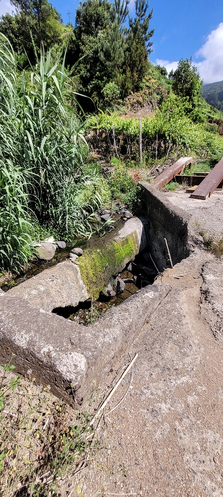 Levada dos Cardais — The first metres through the rubbish tip — photo 7