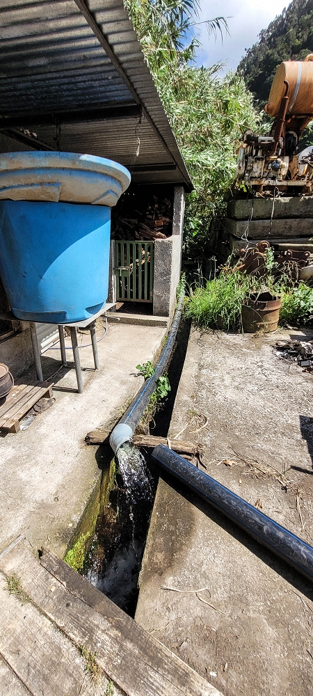 Levada dos Cardais — The first metres through the rubbish tip — photo 6