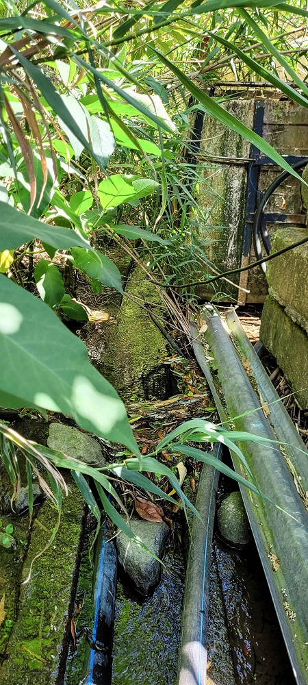 Levada dos Cardais — The first metres through the rubbish tip — photo 5