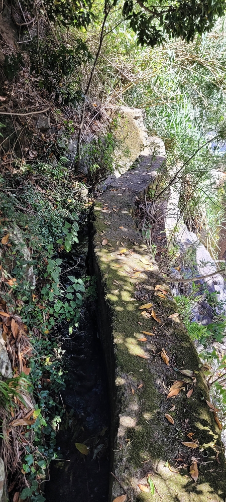 Levada dos Cardais — The first metres through the rubbish tip — photo 3