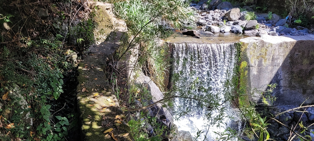 Levada dos Cardais — The Madre in the Ribeira Grande — photo 1