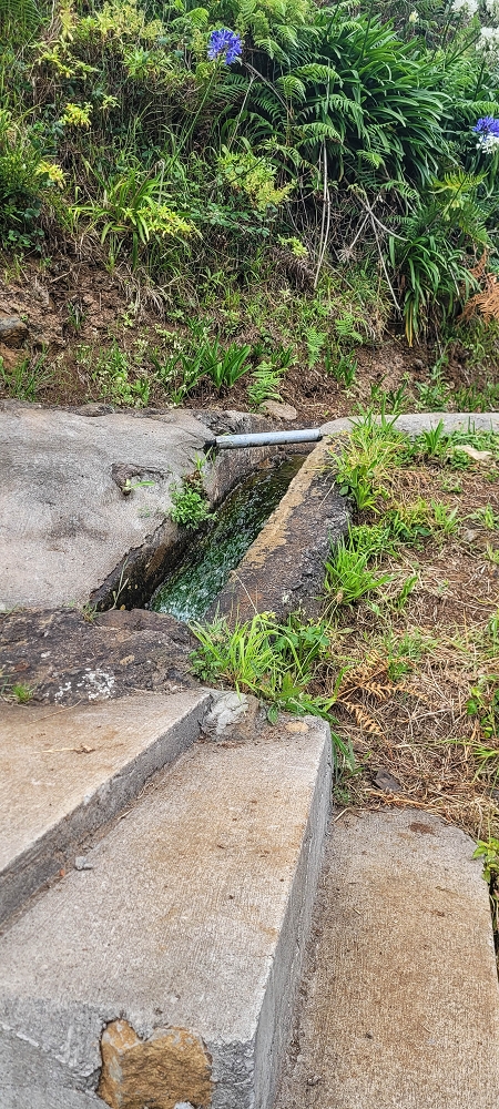 Levada da Achada do Beirão — Die Levadateilung — Foto 2