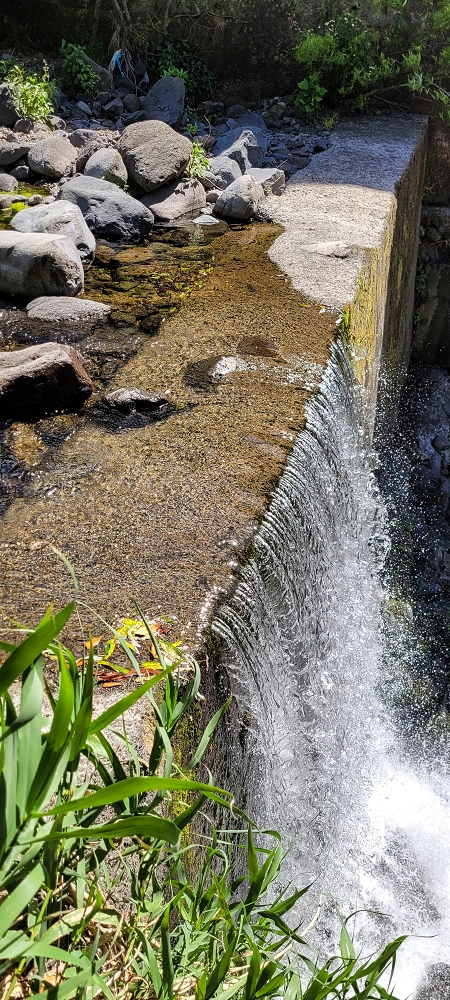 Levada dos Cardais — The Madre in the Ribeira Grande — photo 3