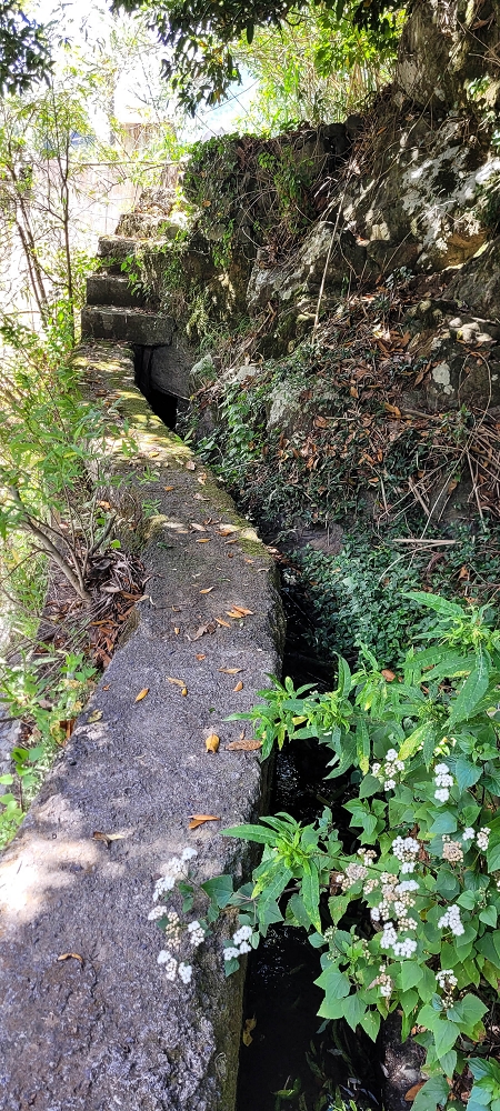 Levada dos Cardais — The first metres through the rubbish tip — photo 1