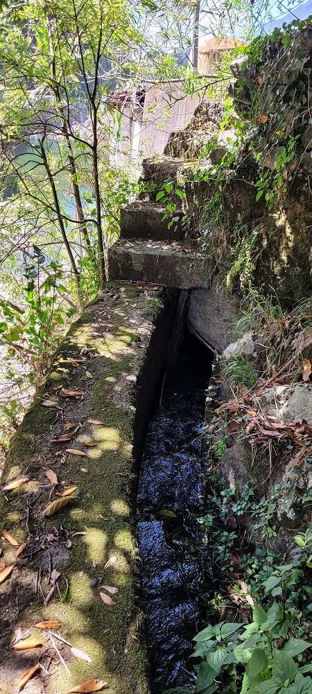 Levada dos Cardais — The first metres through the rubbish tip — photo 2